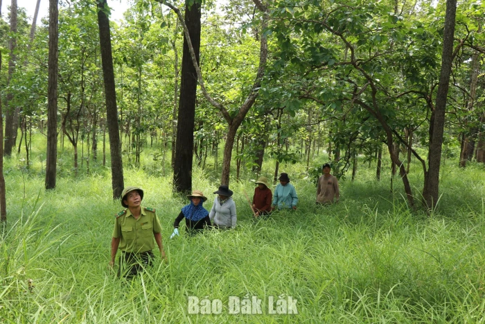 Khai mở dư địa xanh