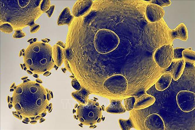 WHO cảnh báo biến thể của virus SARS-CoV-2 vẫn là mối đe dọa