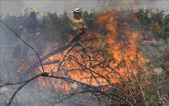 Nhân viên cứu hỏa nỗ lực khống chế các đám cháy rừng ở Verin, Tây Ban Nha, ngày 4/8/2022. Ảnh: AFP/TTXVN