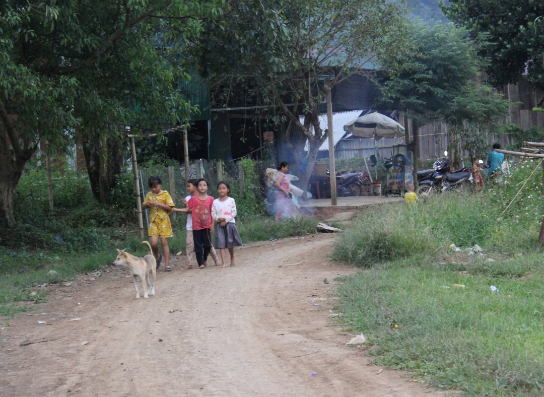 Một cụm dân cư tại buôn Đắk Sa, xã Đắk Nuê, huyện Lắk