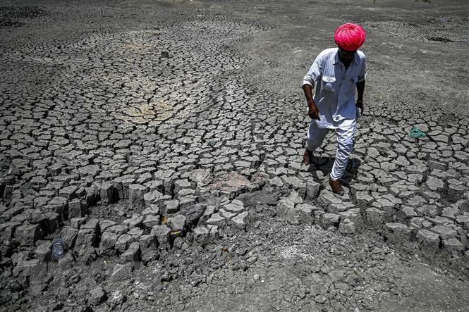 Lòng hồ khô cạn do hạn hán tại làng Bandai, huyện Pali, Ấn Độ, ngày 11/5/2022. Ảnh: AFP/TTXVN