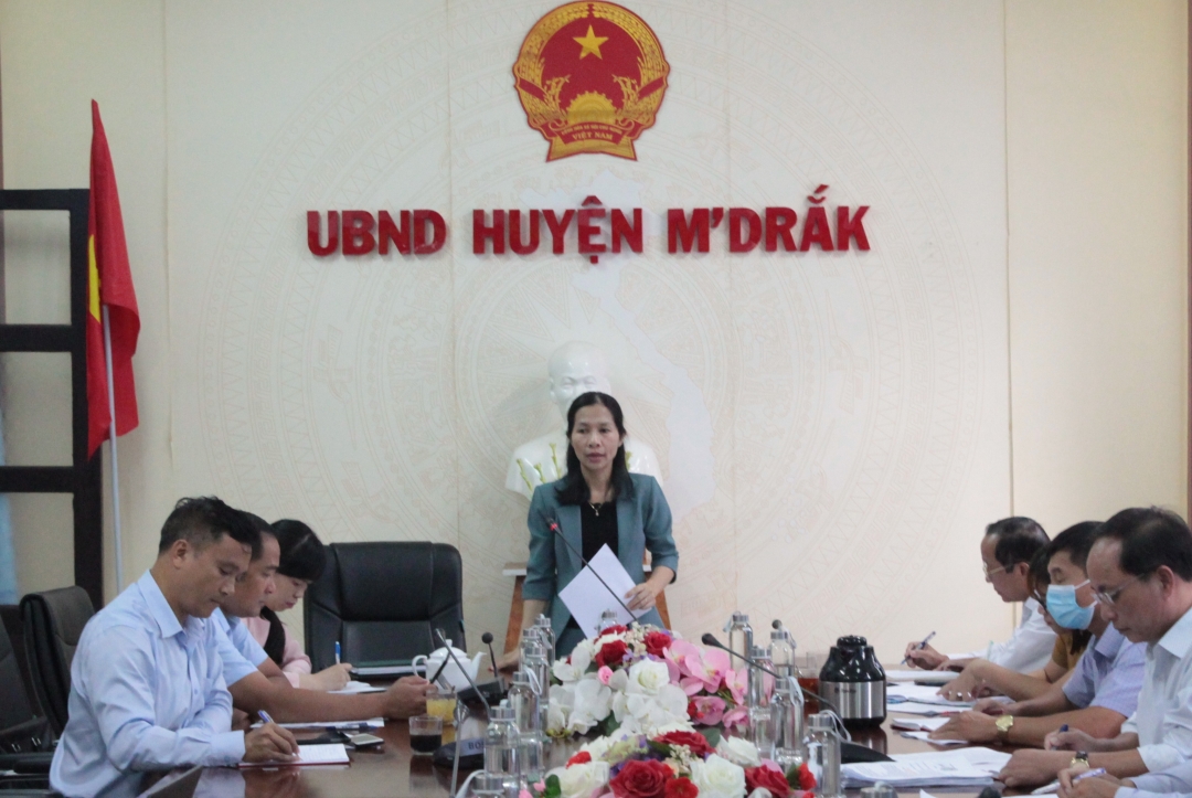 Trưởng ban Pháp chế HĐND tỉnh Phạm Thị Phương Hoa phát biểu tại buổi làm việc.