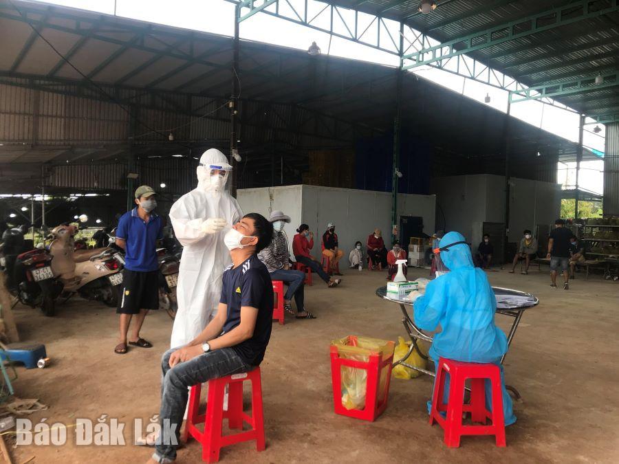 Nhân viên y tế lấy mẫu xét nghiệm cho công nhân một cơ sở thu mua nông sản trên địa bàn thị xã Buôn Hồ.