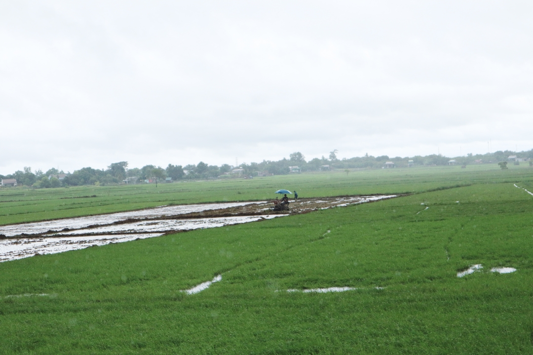 Nông dân xã Ea Bung, huyện Ea Súp sản xuất vụ hè thu 2022