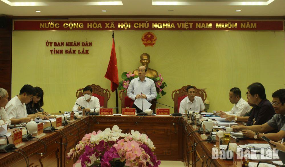 Phó Bí thư Tỉnh ủy, Chủ tịch UBND tỉnh Phạm Ngọc Nghị phát biểu tại phiên họp.