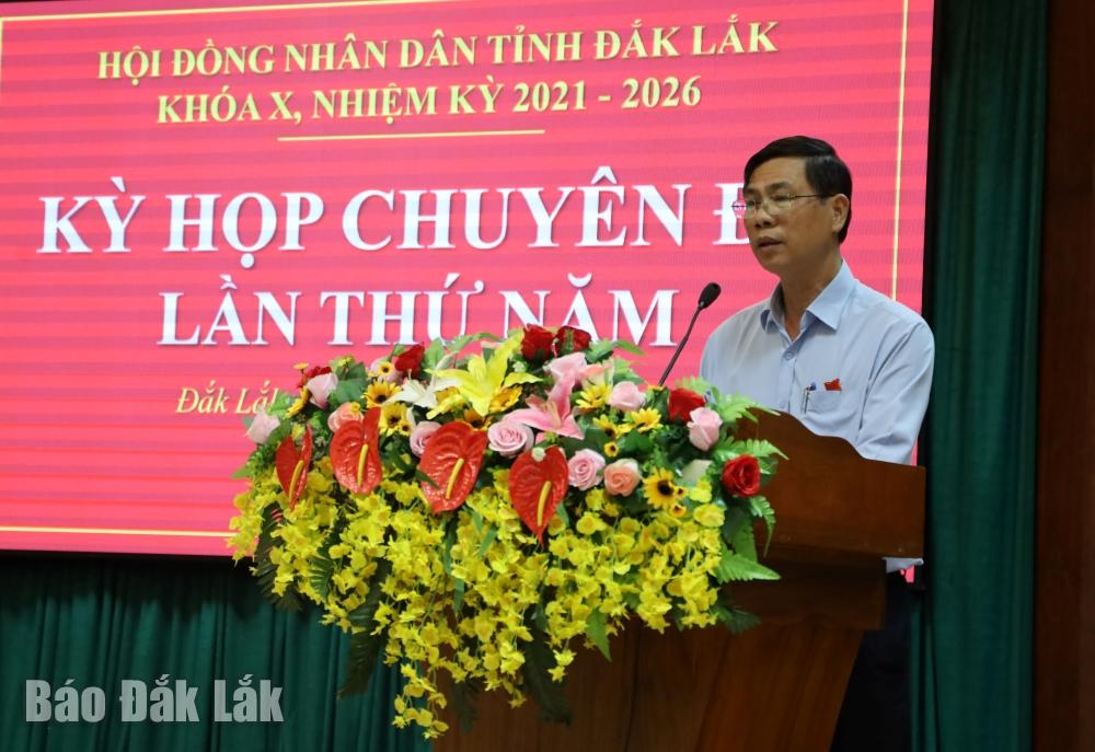 Giám đốc Sở Kế hoạch và Đầu tư Đinh Xuân Hà báo cáo thuyết trình một số dự thảo nghị quyết.