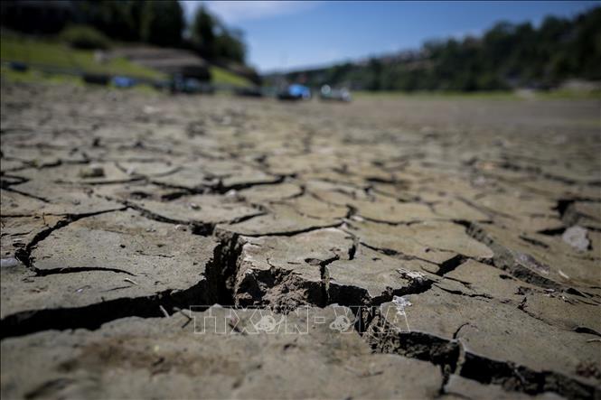 Lòng sông Doubs nằm ở khu vực biên giới giữa Pháp và Thuỵ Sĩ nứt nẻ, khô cạn do nắng nóng và hạn hán, ngày 22/7/2022. (Ảnh: AFP/TTXVN)