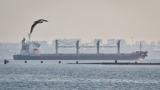 Con tàu chở ngô Navi-Star rời Odessa, Ukraine ngày 5/8. (Ảnh: AP/TTXVN)