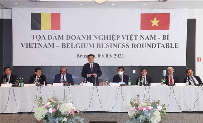 Chủ tịch Quốc hội Vương Đình Huệ phát biểu tại Tọa đàm doanh nghiệp Việt Nam-Bỉ. (Ảnh: Doãn Tấn/TTXVN)