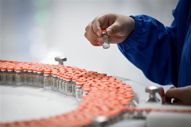 Vắc xin ngừa COVID-19 của công ty Trung Quốc Sinovac. (Ảnh: AFP/TTXVN)