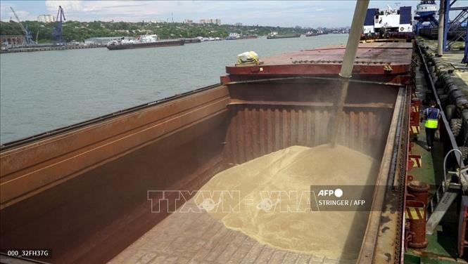 Lúa mì được chuyển lên tàu hàng ở cảng quốc tế Rostov-on-Don, ngày 26/7/2022. (Ảnh: AFP/TTXVN)