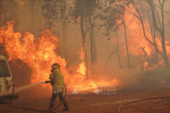 Cháy rừng lan rộng tại khu vực ngoại ô thành phố Perth, Australia, ngày 2/2/2021. Ảnh tư liệu: AFP/TTXVN