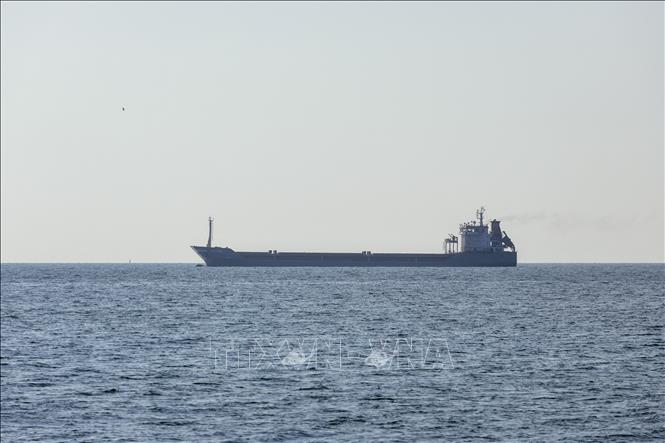 Tàu Polarnet mang cờ Thổ Nhĩ Kỳ chở hàng tấn ngũ cốc rời khỏi cảng Chornomorsk, Ukraine, hướng tới cảng Teesport thuộc North Yorkshire, miền Bắc Anh, ngày 5/8/2022. (Ảnh minh họa: AFP/TTXVN)