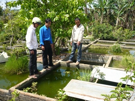 Anh Nguyễn Phương Tiến (phải) đang giới thiệu cá cảnh với khách hàng