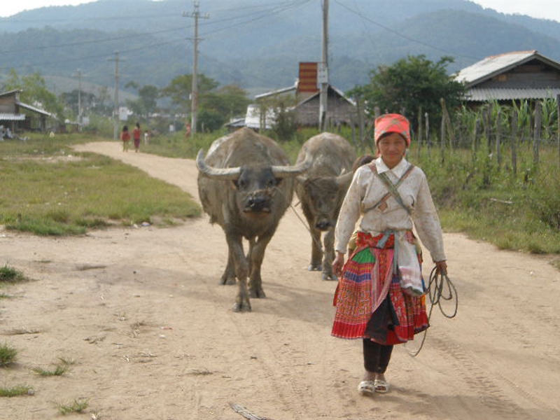 Ảnh chụp tại trung tâm xã.