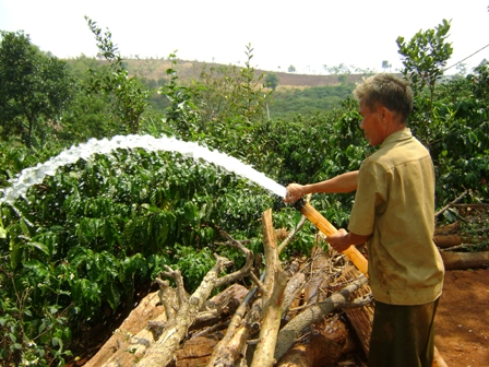 Ông Lê Hải Lý (thôn 6, xã Cư Né, huyện Krông Buk) phun nước trừ rệp sáp hại cà phê.