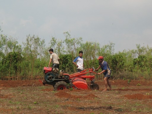 đất sản xuất 