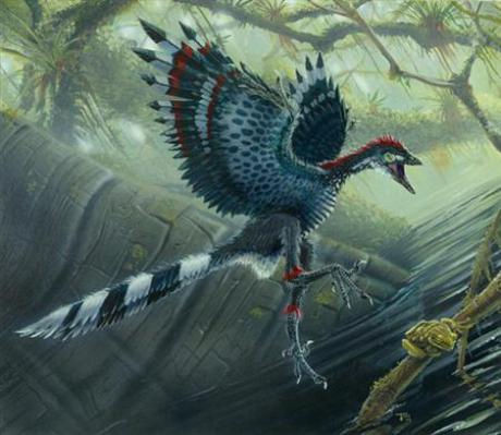 Hình phát họa loài Archaeopteryx