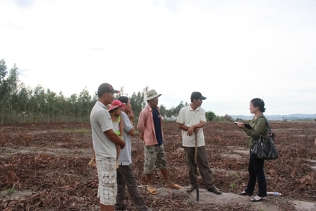 Không có vốn tiếp tục đầu tư, nhiều hộ dân ở xã Cư Kty đã chặt bỏ diện tích rừng trồng liên kết với công ty để trồng hoa màu.