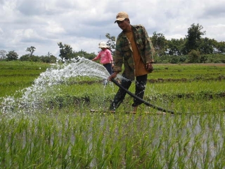 Bơm nước cứu lúa ở xã Ea Siên, thị xã Buôn Hồ (ảnh Lê Ngọc)