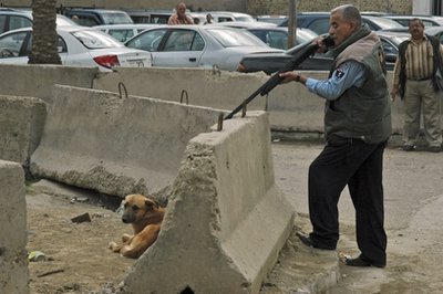 Các bác sỹ thú y cùng cảnh sát Baghdad đã giết khoảng 58.000 con chó lạc ở trong và quanh thủ đô Iraq chỉ trong vòng 3 tháng qua, trong một chiến dịch nhằm giảm số những vụ chó lang tấn công người dân ngày càng tăng. Số lượng chó lang tăng mạnh, ước tính lên tới 1,25 triệu con, là dấu hiệu cho thấy cuộc sống ở Baghdad chưa thể trở lại bình thường.