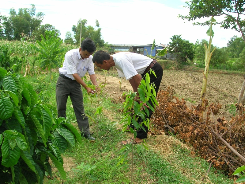 Phóng viên Lê Ngọc (bên trái) đang nghe nông dân hướng dẫn cách quản lý dịch bệnh cây trồng. (Ảnh: Thuận Nguyễn)