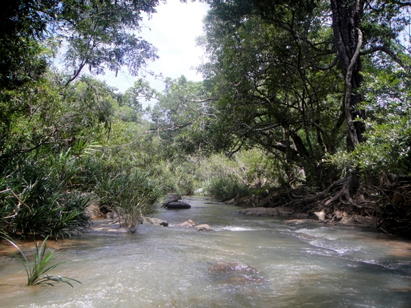 Bắt nguồn từ huyện Krông Năng (Dak Lak), len lỏi giữa những tán rừng già của Khu bảo tông thiên nhiên Ea Sô, dòng suối Ea Puk đổ ra sông Ba Hạ của tỉnh Phú Yên