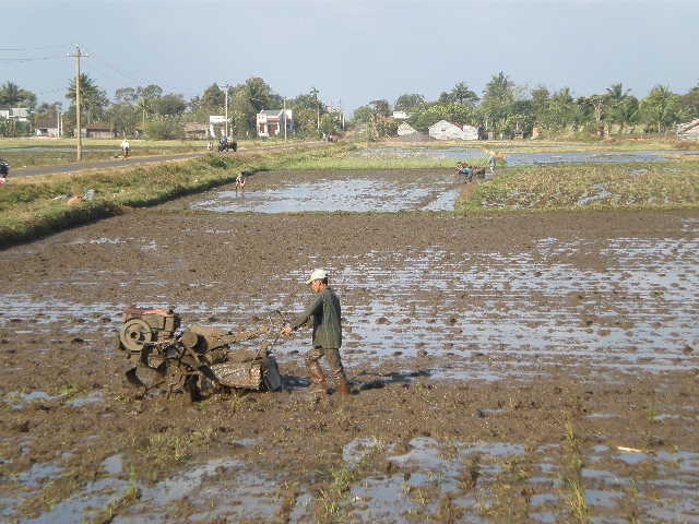 Ảnh minh họa. Ảnh: GN