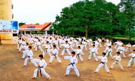 Taekwondo Võ thuật Đá Karate đồ họa Véc tơ - Võ karate png tải về - Miễn  phí trong suốt Silhouette png Tải về.