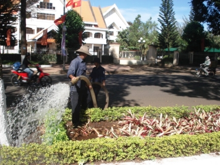 Công nhân Công ty TNHH Một thành viên Quản lý đô thị và Môi trường đang chăm sóc hoa đường phố.
