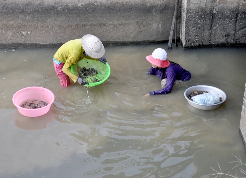 Dường như không còn chỗ nào dưới các lòng kênh mà họ không chạm tay đến