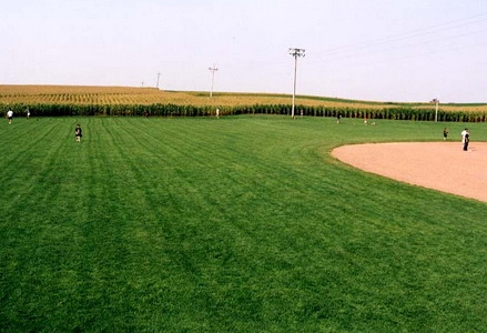 Một góc sân bóng chày của Field of dreams