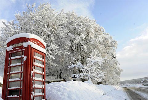 Tuyết phủ trắng cây cối và hộp điện thoại ở Crathie, Scotland