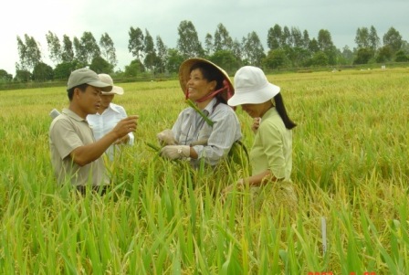 bảo đảm lương thực