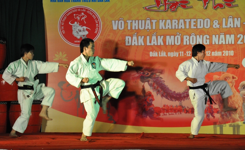 Màn biểu diễn võ thuật chào mừng lâẽ khai mạc của CLB Karatedo Nhà Văn hóa Thanh Thiếu nhi tỉnh