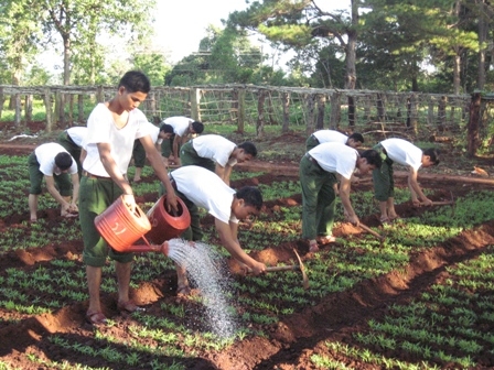 Tăng gia sản xuất ở Tiểu đoàn 303 - Trung đoàn 584, Bộ Chỉ huy Quân sự tỉnh.