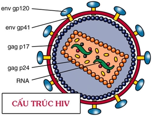 vacxin HIV.jpg