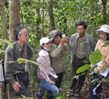 PGS-TS Bảo Huy (bìa trái) trong chuyến điều tra khả năng hấp thụ CO2 của rừng tại Lâm Hà (Lâm Đồng).