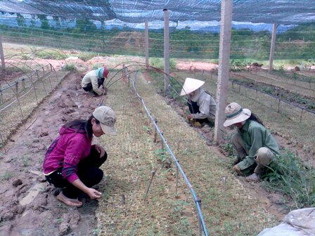 Các chính sách trong phát triển nông nghiệp, nông thôn, nông dân đã góp phần xóa đói giảm nghèo, nâng cao chất lượng cuộc sống của người dân