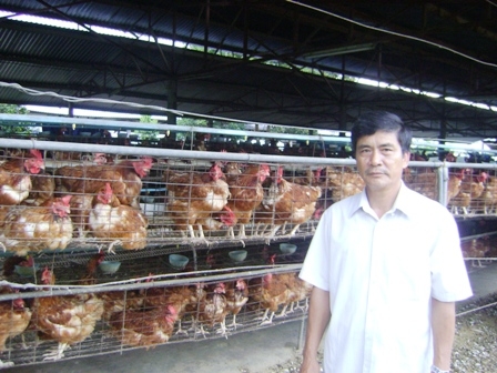 Cựu chiến binh Đặng Quang Lực, làm giàu từ nuôi gà Hybrao.