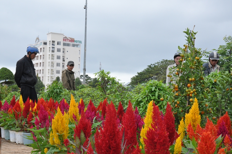 Thật khó lựa chọn giữa một rừng hoa