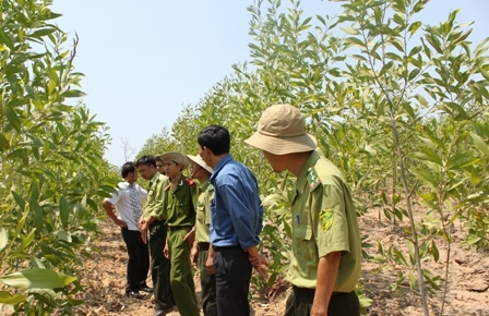 Đoàn kiểm tra liên ngành về phòng chống cháy rừng tại huyện Ea Súp năm 2010