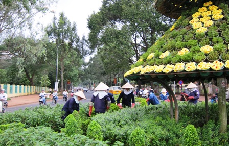 Chỉnh trang làm đẹp thành phố.