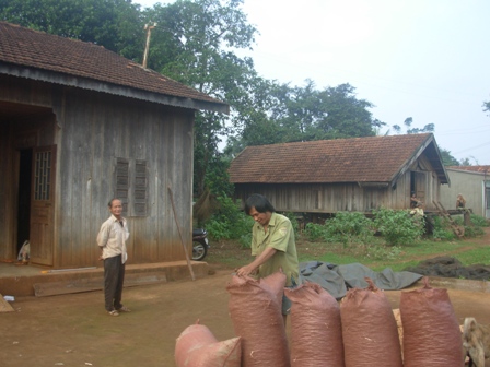 Niềm vui được mùa của người dân buôn Cháy. (Ảnh: Văn Lệ)