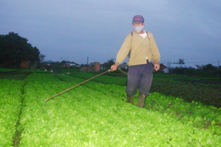 Người trồng rau ở HTX Thuận Hòa, phường Khánh Xuân thực hiện phun thuốc sinh học trên rau trồng. (Ảnh: Lệ Văn)