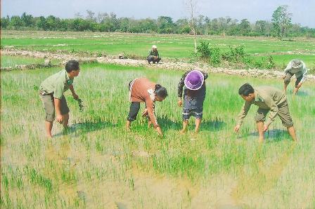 Đội công tác địa bàn Đồn Biên phòng Sêrêpôk hướng dẫn nôgn dân Buôn Đray Phốc trồng cây lúa nước. (Ảnh: V.C)