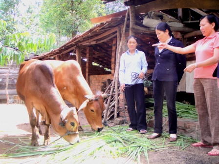 Chị Nguyễn Thị Huyên (áo trắng) đã thoát nghèo và vươn lên làm giàu nhờ sự giúp đỡ kịp thời của Hội phụ nữ xã Ea Đar. (Ảnh: T.L)