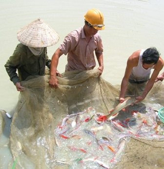 Ảnh minh họa (L.H)