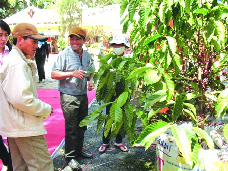 Nông dân hào hứng với Góc huấn luyện canh tác cà phê bền vững tại Hội chợ.