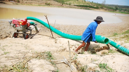 Người dân bơm nước cứu lúa bị hạn.